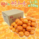 ”セミノール” 秀品 L〜3Lサイズ 約10kg 和歌山・愛媛ほか 産地厳選 送料無料