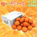 ”セミノール” 秀品 L〜3Lサイズ 約5kg 和歌山・愛媛ほか 産地厳選 送料無料