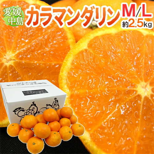 ”愛媛産 中島便り カラマンダリン” 秀品 M/L 約2.5kg【予約 4月下旬以降】 送料無料
