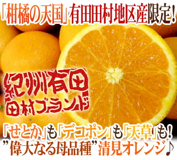 【送料無料】和歌山・田村産 ”清見オレンジ” 秀品 2L〜4L 約10kg【予約 3月中下旬以降】