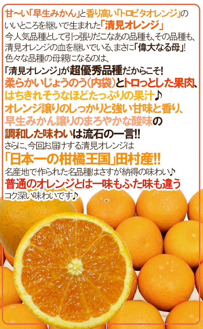 ”和歌山・田村産 清見オレンジ” 秀品 2L〜4L 約5kg【予約 3月中下旬以降】 送料無料