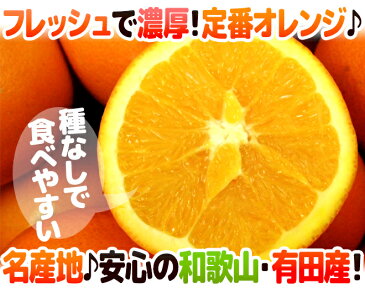 【送料無料】和歌山県 有田産 ”ネーブルオレンジ” 秀品 L〜4Lサイズ 約4.5〜5kg【予約 1月下旬以降】