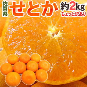 佐賀産 ”せとか” ちょっと訳あり 約2kg 大きさおまかせ【予約 1月下旬以降】 送料無料