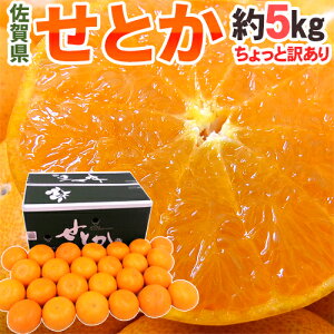 佐賀産 ”せとか” ちょっと訳あり 約5kg 大きさおまかせ【予約 1月下旬以降】 送料無料