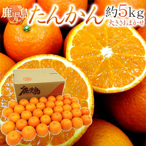 鹿児島産 ”たんかん” 秀品 約5kg 大きさおまかせ【予約 2月中旬以降】 送料無料のサムネイル