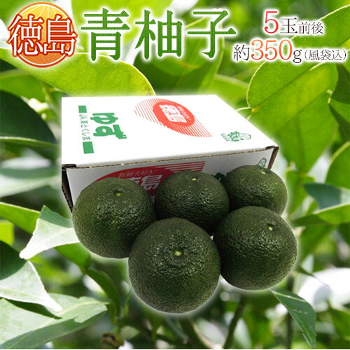 徳島産 ”青柚子” 秀品 5～6玉前後 約350g 青ゆず【予約 4月下旬以降】