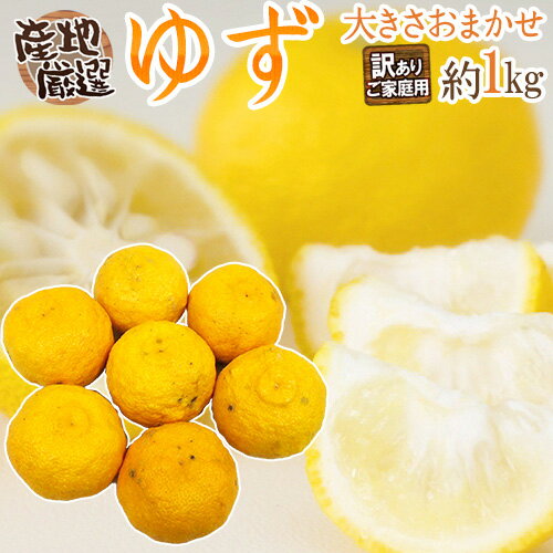 ゆずの香りを逃さない保存方法とは 正しい冷凍 冷蔵 乾燥の仕方を解説 暮らし の ゆずの香りを逃さない保存方法とは 正しい冷凍 冷蔵 乾燥の仕方を解説 暮らし の