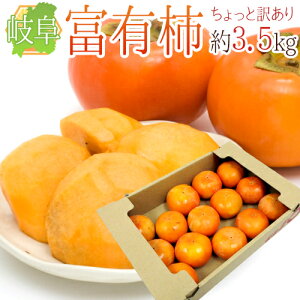 岐阜産 ”富有柿” 訳あり 11〜18玉 約3.5kg【予約 11月中旬以降】 送料無料