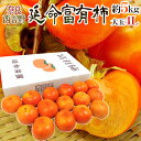 奈良産 ”延命富有柿” 秀品 大玉4L 15玉 約5kg【予約 11月以降】 送料無料