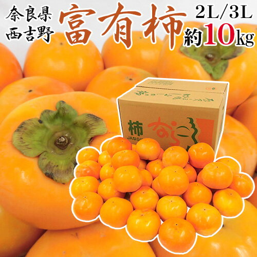 奈良県西吉野産 ”富有柿” 秀品 2L〜3L 約10kg【予約 11月以降】 送料無料のサムネイル
