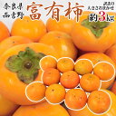奈良県西吉野産 ”富有柿” 訳あり 大きさおまかせ 約3kg【予約 11月以降】 送料無料
