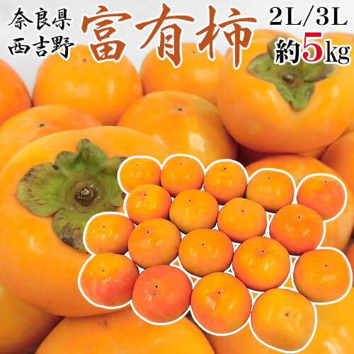”奈良県西吉野産 富有柿” 秀品 2L〜3L 約5kg【予約 11月以降】 送料無料のサムネイル