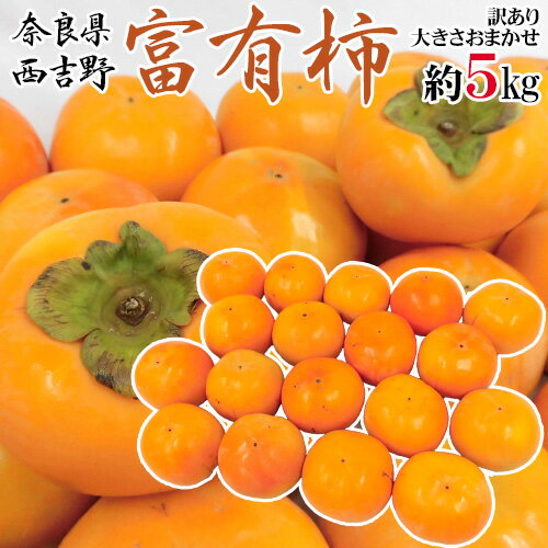 奈良県西吉野産 ”富有柿” 訳あり 大きさおまかせ 約5kg【予約 11月以降】 送料無料