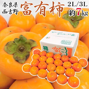 奈良県西吉野産 ”富有柿” 秀品 2L〜3L 約7kg（風袋込）【予約 11月以降】 送料無料