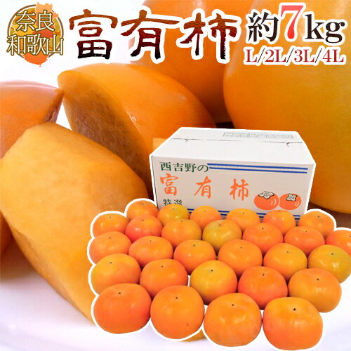 和歌山・奈良産 ”富有柿” 秀品 L/2L/3L/4Lサイズ 約7kg【予約 11月以降】 送料無料
