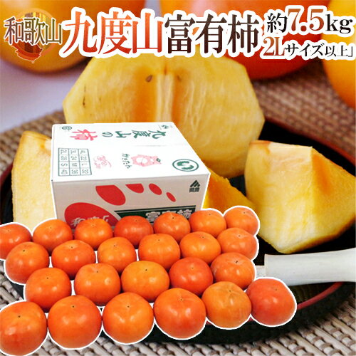 和歌山県九度山産 ”富有柿” 秀品 2Lサイズ以上 約7.5kg【予約 11月以降】 送料無料