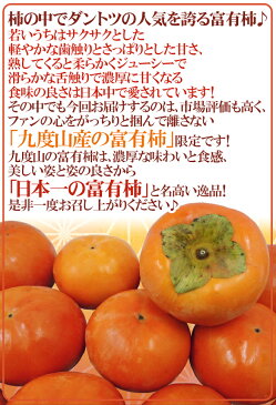 和歌山県九度山産 ”富有柿” 秀品 2Lサイズ以上 約7.5kg【予約 11月以降】 送料無料