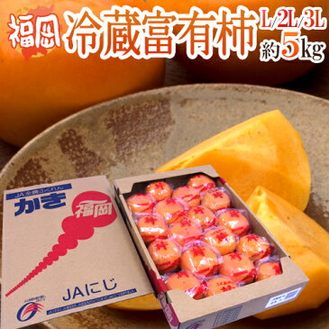 【送料無料】福岡産 ”富有柿” 秀品 L〜3L 約5kg【予約 12月以降】