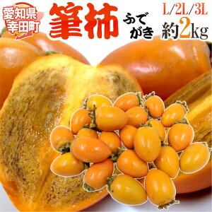 愛知県 幸田町 ”筆柿” 秀品 L〜3L 約2kg ふで柿【予約 9月下旬以降】 送料無料