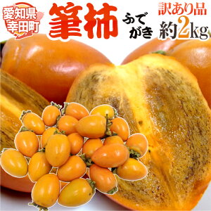 【愛知の柿】愛知県産の甘くて美味しい柿のおすすめは？