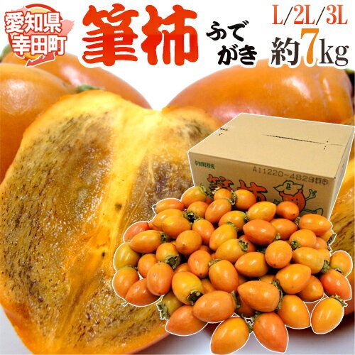 愛知県 幸田町 ”筆柿” 秀品 L〜3L 約7kg ふで柿【予約 9月下旬以降】 送料無料