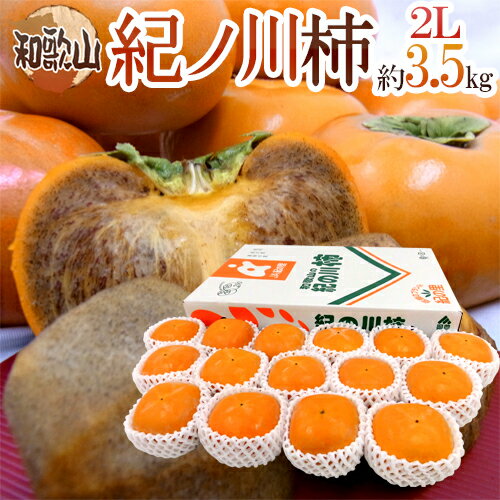 和歌山産 ”紀ノ川柿” 秀品 15玉前後 約3.5kg 化粧箱【予約 10月中旬以降】 送料無料