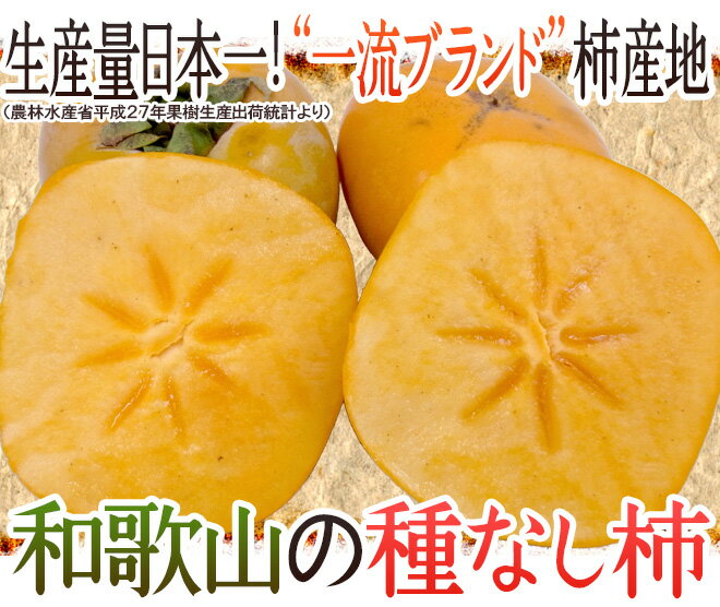 和歌山産 ”たねなし柿” 訳あり 約7.5kg 大きさおまかせ【予約 9月末以降】 送料無料