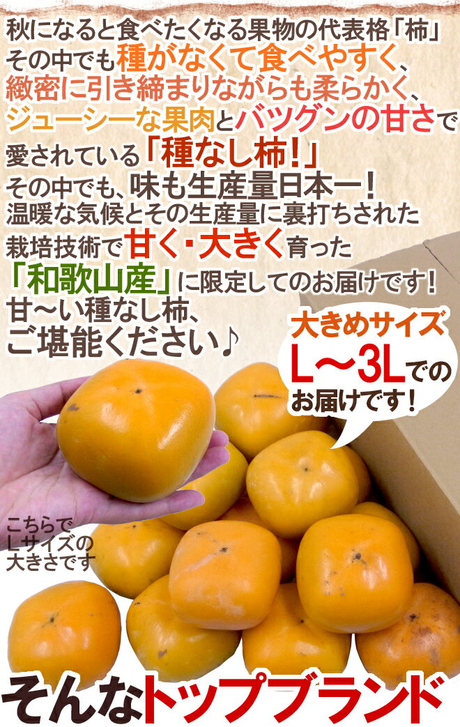 楽天市場】和歌山産 ”たねなし柿” 訳あり 12~15玉前後 約3kg《2箱ご購入で1kgおまけ》【予約 10月以降】 送料無料(くらし快援隊~お中元お歳暮ギフト) | みんなのレビュー・口コミ 楽天市場】和歌山産 ”たねなし柿” 訳あり 12~15玉前後 約3kg《2箱ご購入で1kgおまけ》【予約 10月以降】 送料無料(くらし快援隊~お中元お歳暮ギフト) | みんなのレビュー・口コミ