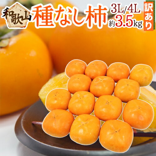 和歌山産 ”たねなし柿” 訳あり 3L〜4Lサイズ 12〜14玉 約3.5kg【予約 10月以降】 送料無料のサムネイル