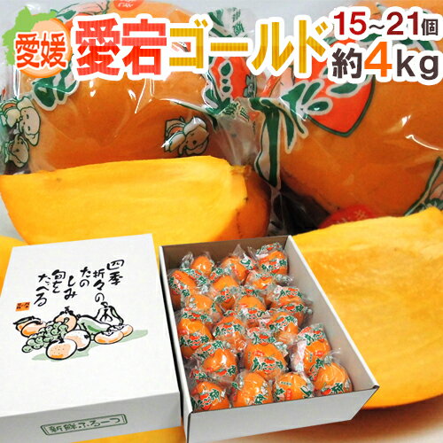 ”愛媛県 愛宕ゴールド” 秀品 L〜3L 15〜21玉 約4kg 愛宕柿【予約 12月中下旬以降】 送料無料のサムネイル