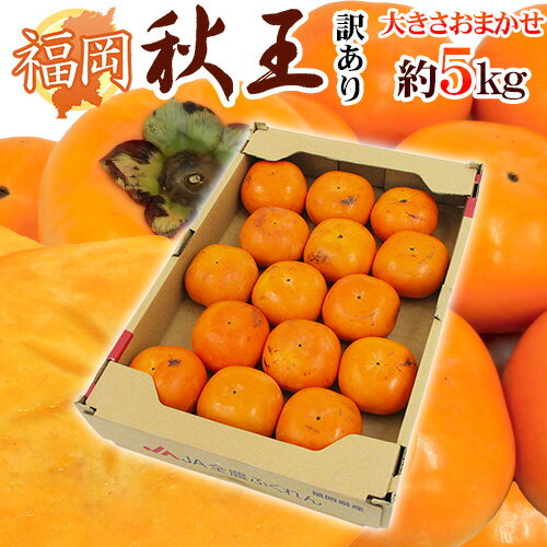 福岡県 ”秋王” 訳あり 大きさおまかせ 約5kg 秋王柿【予約 入荷次第発送】 送料無料のサムネイル