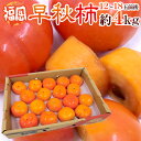 【9/18限定!全額ポイントバックの大チャンス】福岡産 ”早秋柿” 秀品 12〜18玉前後 約4kg【予約 10月以降】 送料無料