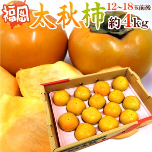 福岡産 ”太秋柿” 秀品 12〜18玉前後 約4kg【予約 10月以降】 送料無料