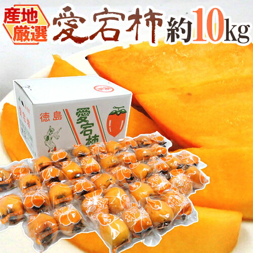 ”愛宕柿” 秀品 約10kg 大きさおまかせ 産地厳選 あたご柿【予約 12月末以降】 送料無料のサムネイル