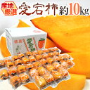 ”愛宕柿” 秀品 約10kg 大きさおまかせ 産地厳選 あたご柿【予約 12月末以降】 送料無料