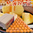 ”次郎柿” 秀品 36~48玉前後 約10kg 産地厳選【予約 10月下旬以降】 送料無料