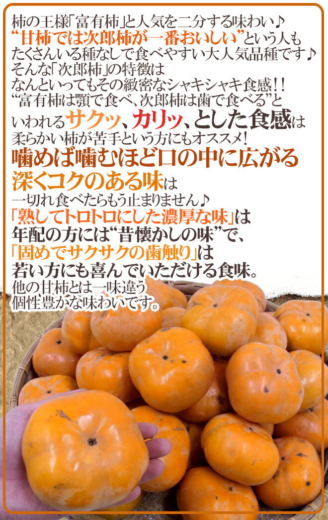 【送料無料】”次郎柿” 訳あり 32〜56玉前後 約10kg 産地厳選【予約 10月下旬〜11月】