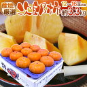 ”次郎柿” 秀品 12~16玉前後 約3.3kg 産地厳選【予約 10月下旬以降】 送料無料