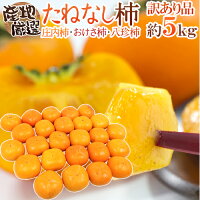 ”たねなし柿” 訳あり 約5kg 大きさおまかせ 産地厳選 種無し柿/庄内柿/おけさ柿 送料無料