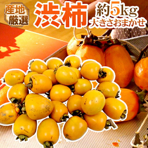【渋柿】ジャムや干し柿作りに！種なしなどで人気の渋柿のおすすめは？