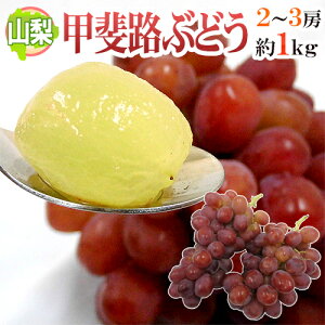 ”山梨産 甲斐路ぶどう” 秀品 2〜3房 約1kg以上【予約 9月中旬以降】 送料無料