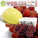 ”山梨産 甲斐路ぶどう” 秀品 3~5房 約2kg 化粧箱【予約 9月中旬以降】 送料無料