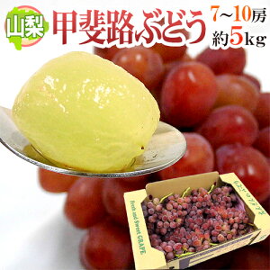 山梨産 ”甲斐路ぶどう” 秀品 7〜10房 約5kg【予約 9月中旬以降】 送料無料