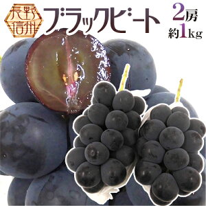 長野産 ”ブラックビート” 秀品 2房 約1kg ぶどう【予約 9月中旬以降】 送料無料