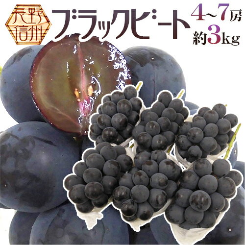 ”長野産 ブラックビート” 秀品 4〜7房 約3kg ぶどう【予約 9月中旬以降】 送料無料のサムネイル