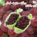 長野県 ”クイーンルージュ” 秀品 2房 約900g~1kg 赤ぶどう【予約 9月中旬以降】 送料無料