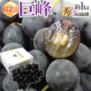 ”和歌山産 巨峰” 秀品 3房前後 満杯詰 約1kg 化粧箱 ぶどう【予約 7月末以降】 送料無料