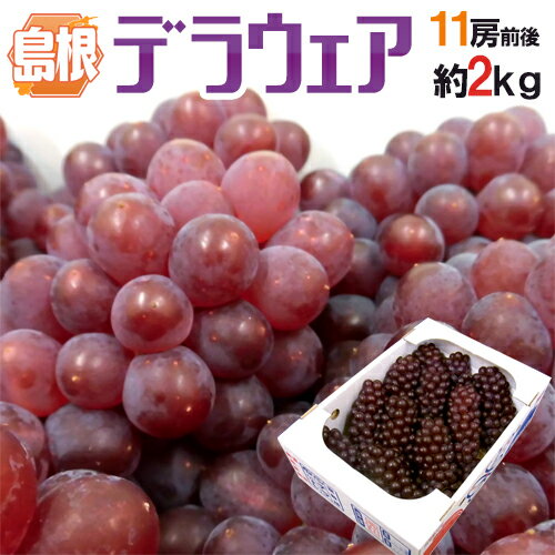 ぶどう 島根産 種なしぶどう ”デラウェア” 8〜13房 約2kg【予約 6月以降】 送料無料