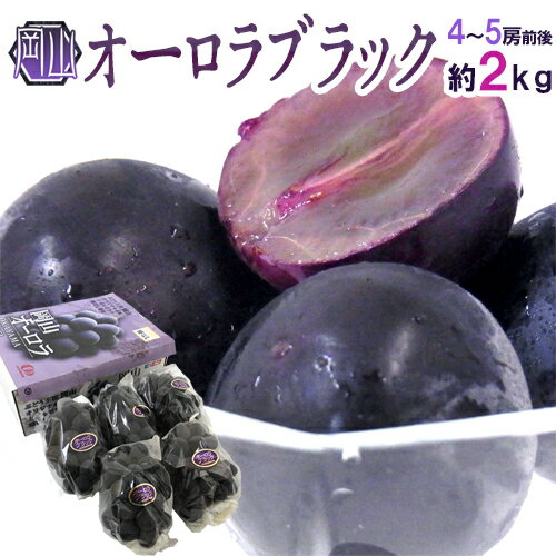 岡山産 ”オーロラブラック” 秀品 4〜5房前後 約2kg 化粧箱【予約 9月以降】 送料無料のサムネイル