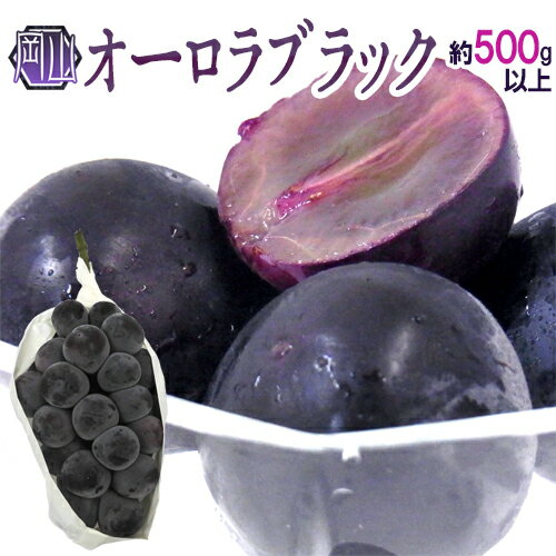 ”岡山産 オーロラブラック” 大房 約500g以上 ぶどう【予約 9月以降】のサムネイル
